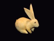 Swede Rabbit